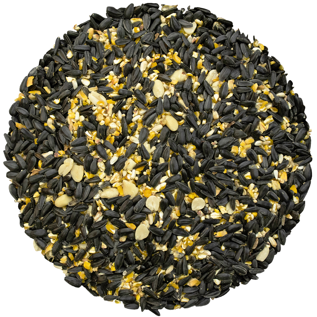 Year-Round Favorite Seed