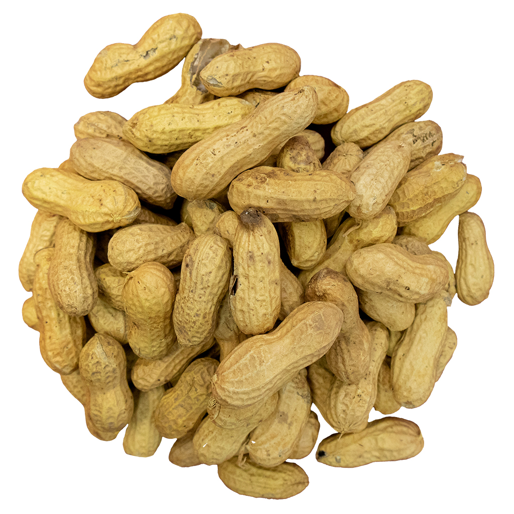 In-Shell Peanuts